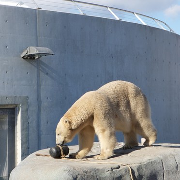 Copenhagen Zoo